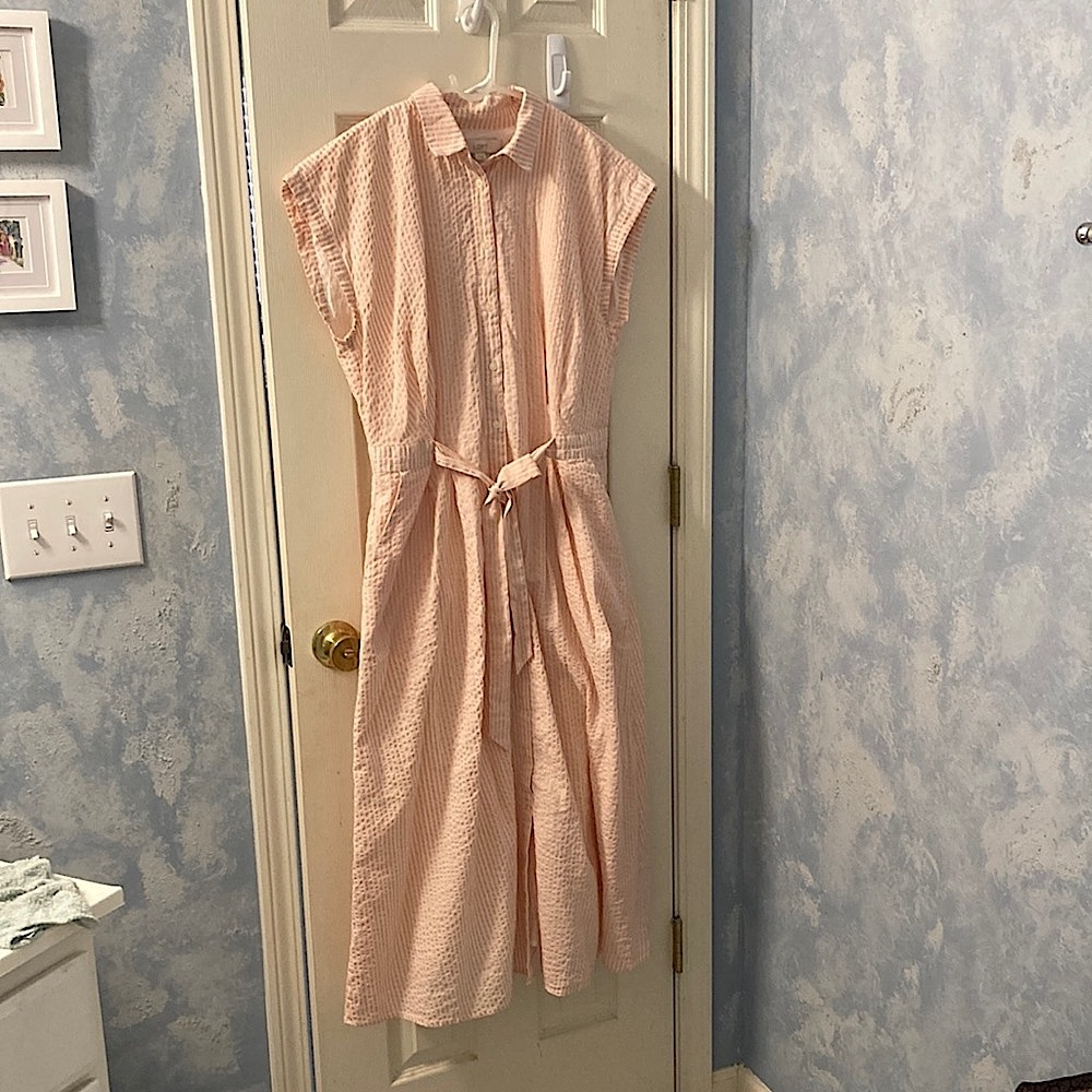 Loft Gingham Peach Cotton Dress, Size 12
